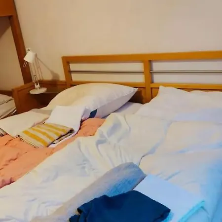 Ski+wandern: 2 Zimmer/tiefgarage 公寓 温特贝格